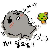 사용자 삽입 이미지