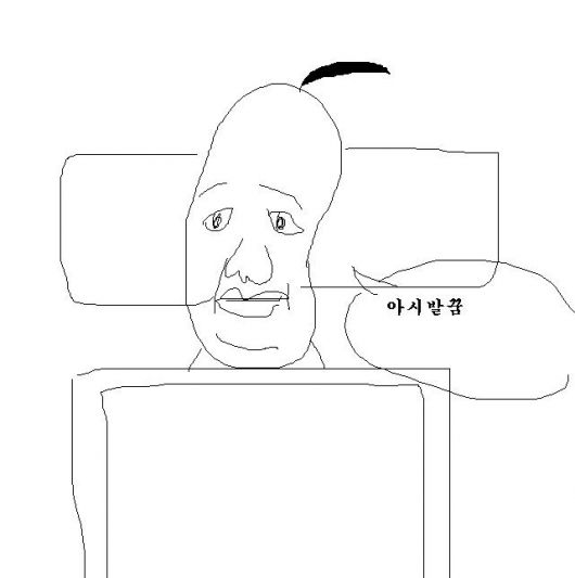 사용자 삽입 이미지